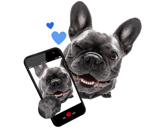 Bring your own device